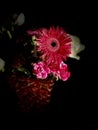 Red gerbera and carnations and white roses are placed in the red vase Royalty Free Stock Photo