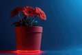 Red Gerbera Daisies in Modern Pot with LED Lighting on Blue Background Royalty Free Stock Photo