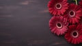 Maroon Gerberas On Dark Wooden Table: Rustic Aesthetic