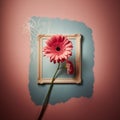 Red gerbera flower with vintage photo frame on grunge background. Royalty Free Stock Photo