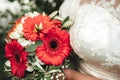 Red gerbera flowers combined with white roses in wedding bouquet. Bride in white lace wedding dress holding flowers. Royalty Free Stock Photo