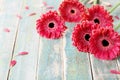 Red Gerbera Flowers On Vintage Wooden Background. Mother Or Woman Day Greeting Card. Rustic Style.