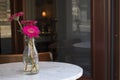 Red gerbera in a glass narrow vase on a table in a street cafe Royalty Free Stock Photo