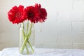 Red gerberas in glass jar