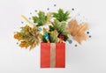 Red gift box with autumn leaves, party confetti and noisemakers