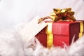 Red gift box with tag on feathers front wiew Royalty Free Stock Photo