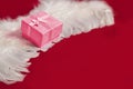 Red gift box on white angel feather wings