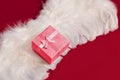 Red gift box on white angel feather wings Royalty Free Stock Photo