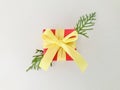 Red gift box with diagonal Oriental arborvitae branches on white background. Royalty Free Stock Photo