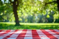 Red Gingham Picnic Tablecloth on Green Grass Background Royalty Free Stock Photo