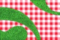 Red gingham plaid and green grass background. Vector picnic poster design. Horizontal banner with tablecloth on lawn