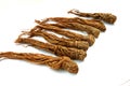 Red Ginseng Royalty Free Stock Photo