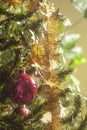 Red glass ball hanging on green Christmas tree branch Royalty Free Stock Photo