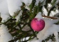 Red glass Christmas ball on Christmas tree with snow as background Royalty Free Stock Photo