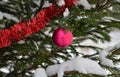 Red glass Christmas ball on Christmas tree with snow as background Royalty Free Stock Photo