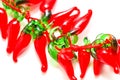 Red glass decorative peppers