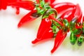 Red glass decorative peppers