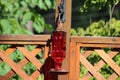 A red glass square humming bird feeder Royalty Free Stock Photo