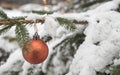 Red Glitter Beautyful Christmas Ornament Bauble haning at a Fir Tree with Snow Royalty Free Stock Photo