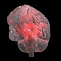 A red glowing glass brain