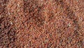 Red glutinous rice sold in traditional markets