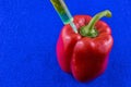 Red GMO Pepper Royalty Free Stock Photo