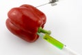 Red GMO Pepper Royalty Free Stock Photo