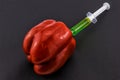 Red GMO Pepper Royalty Free Stock Photo