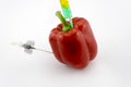 Red GMO Pepper Royalty Free Stock Photo