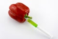 Red GMO Pepper Royalty Free Stock Photo