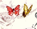 Red and gold Butterflies