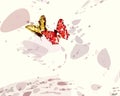 Red and gold Butterflies