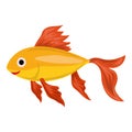 Red gold fish icon, cartoon style Royalty Free Stock Photo