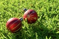 2 Red and gold glittering Christmas balls decoration on grass- Christmas in July Royalty Free Stock Photo