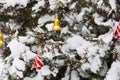 Red and gold toys on a snowy Christmas tree Royalty Free Stock Photo