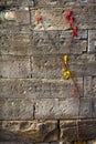 Red and Gold Vines Cling to Old Stone Wall