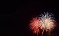 Red, gold, and white starburst firework with a black background