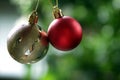 Red and golden Christmas ball ornament hanging on a blur green tree bokeh light background. Closeup of two balls ornament.