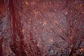 Red metallic shiny texture background. Christmas bronze backdrop Royalty Free Stock Photo