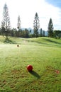 Red golf ball in the golf course with grass and trees Royalty Free Stock Photo
