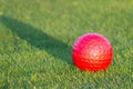 Red golf ball on grass Royalty Free Stock Photo