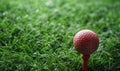 Red golf ball on tee in lush green grass Royalty Free Stock Photo