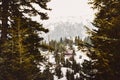 Red gondola ski cable way lift isolated in fir forest in Goderdzi ski resort. Georgia Royalty Free Stock Photo