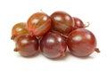 Red gooseberries Royalty Free Stock Photo