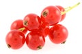 Red gooseberries Royalty Free Stock Photo