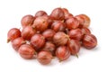 Red gooseberry