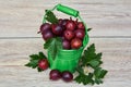 Red gooseberry in a small green bucket on a wooden background Royalty Free Stock Photo