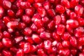 Red grains of pomegranate close-up background texture