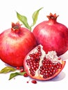 Ripe Red Pomegranate with Leaves Isolated on White Background. Watercolour illustration. Generative AI. Royalty Free Stock Photo