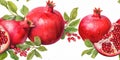 Ripe Red Pomegranates with Leaves Isolated on White Background. Watercolour illustration. Generative AI.